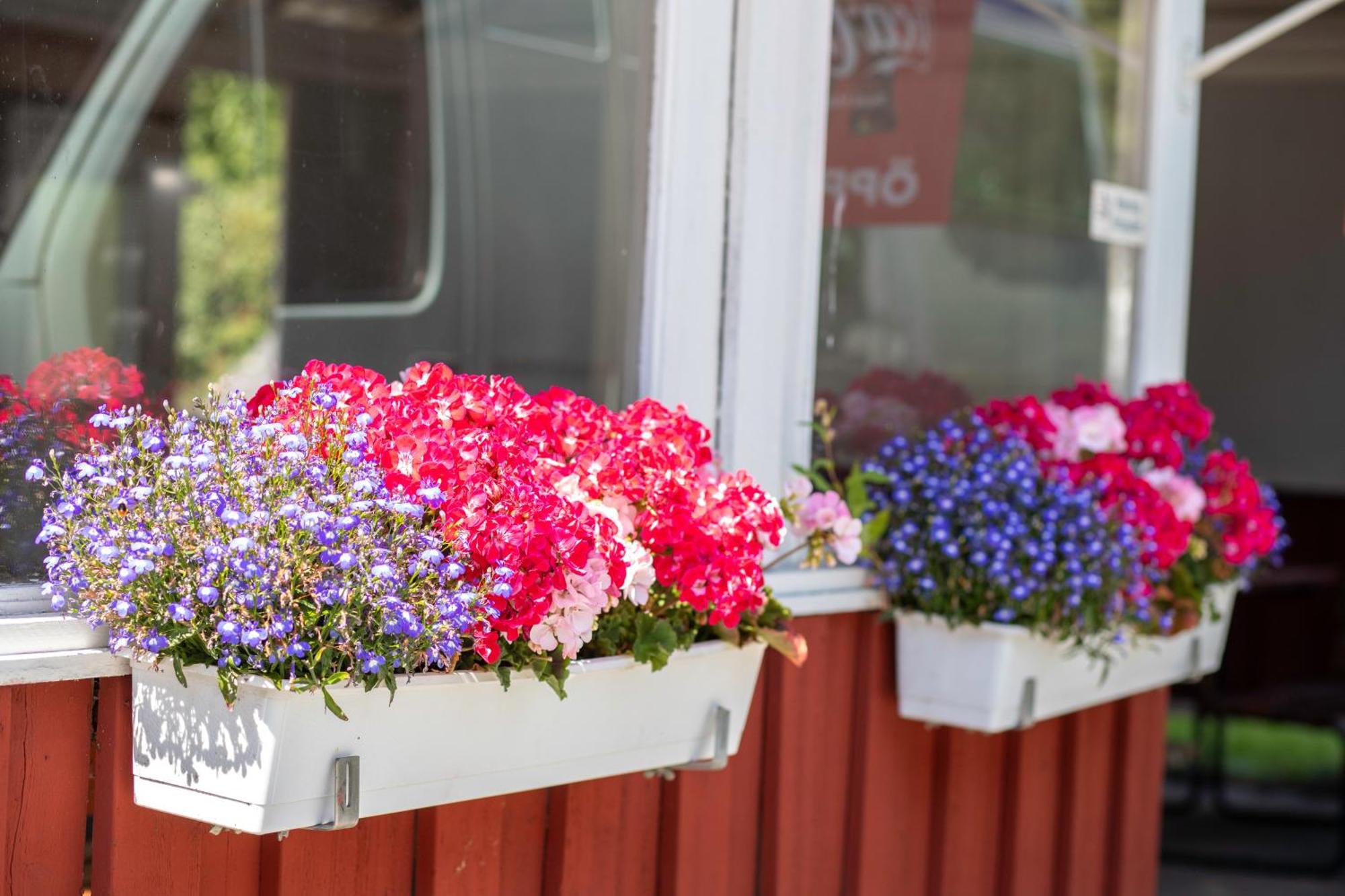 Stockholm Aengby Camping Екстериор снимка